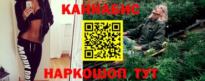 гашик Будённовск
