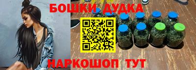 гашик Будённовск