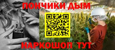 гашик Будённовск